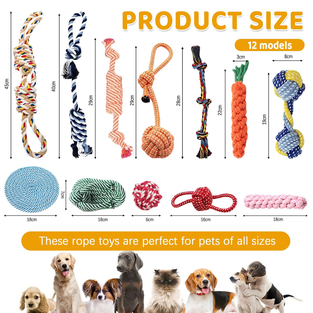 Hundespielzeug-Set (robust)