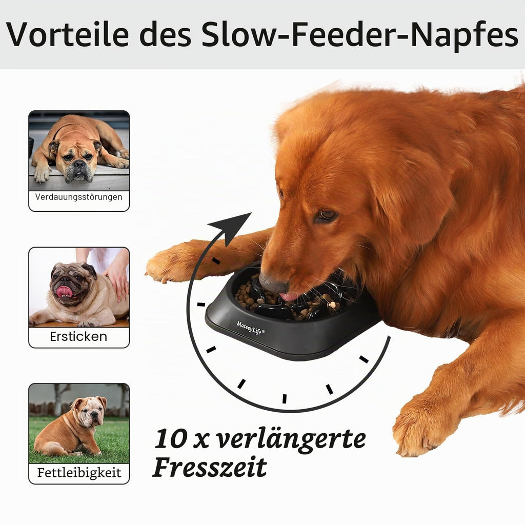 Anti-Schling-Napf für Hunde